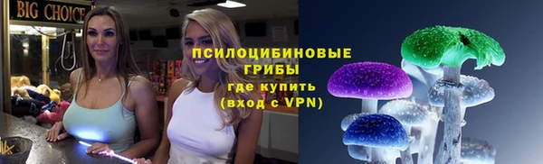 молекула духа Богородск