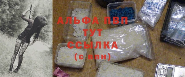 ГАЛЛЮЦИНОГЕННЫЕ ГРИБЫ Белоозёрский