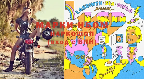 мдпв Богданович