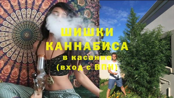 молекула духа Богородск