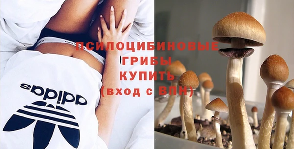 прущая мука Беломорск