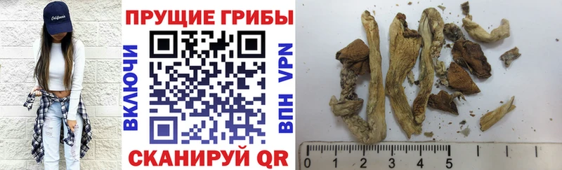 Псилоцибиновые грибы мицелий  Бузулук 
